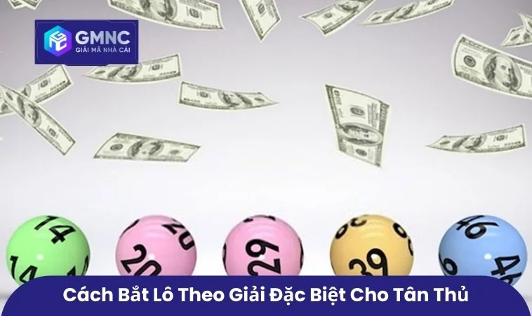 Cách bắt lô theo giải đặc biệt dành cho tân thủ